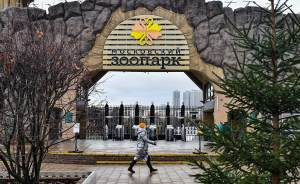 ​Московский зоопарк получил новый вход и пешеходный мост