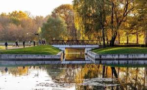 ​В Москве проведут реабилитацию парка «Кусково»