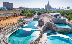 ​В Московском зоопарке открылся павильон с бассейном для ластоногих