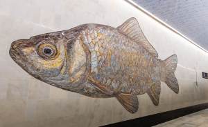 ​Гигантские рыбы появились на стенах станции «Нагатинский Затон»