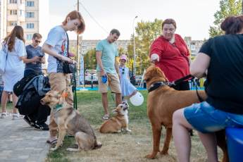 В Гольянове открылась современная площадка для выгула и дрессировки собак