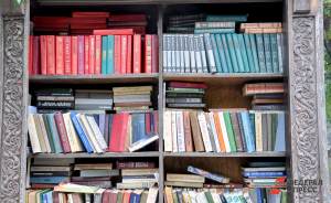 ​В Москве восстановили более одного миллиона книг из библиотеки ИНИОН РАН