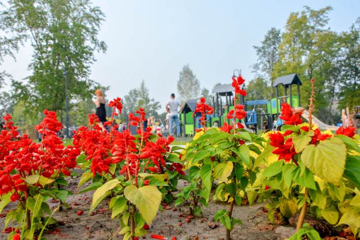 ​Китайский сад в Москве откроют в конце года
