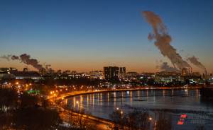 На набережной Москвы-реки появится экопарк