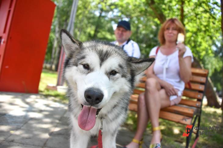 ​В Москве благоустроят территорию около культурного центра «Москвич»