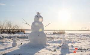 Под конец зимы в Москве пройдет фестиваль снеговиков