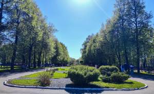​В Москве благоустроят часть парка «Москворецкий»