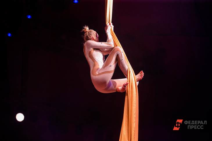 ​В Большом Московском цирке возобновили открытые репетиции