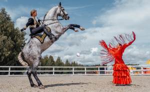 Конные театры со всей России покажут спектакли на фестивале в Подмосковье
