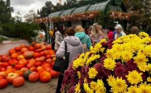 ​Осенний гастрономический фестиваль проходит в Москве