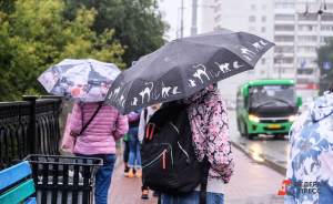 Резкое похолодание ждет москвичей в начале сентября