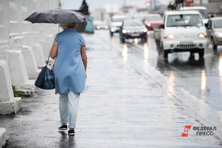 Москвичей предупредили о дожде с грозами в понедельник