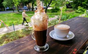 Кофейни и рестораны Москвы помогут бездомным животным