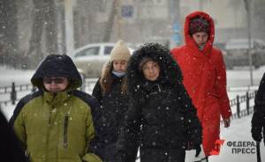 Синоптики пообещали москвичам первый снег