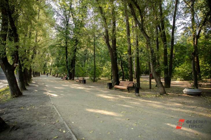 ​В Москве высадили более шести тысяч деревьев