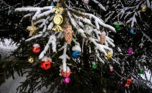 ​Жители Москвы выберут новогоднее украшение города