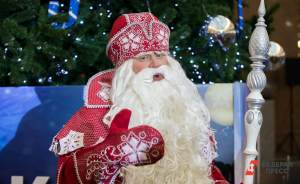 ​В Москве отпразднуют день рождения Деда Мороза