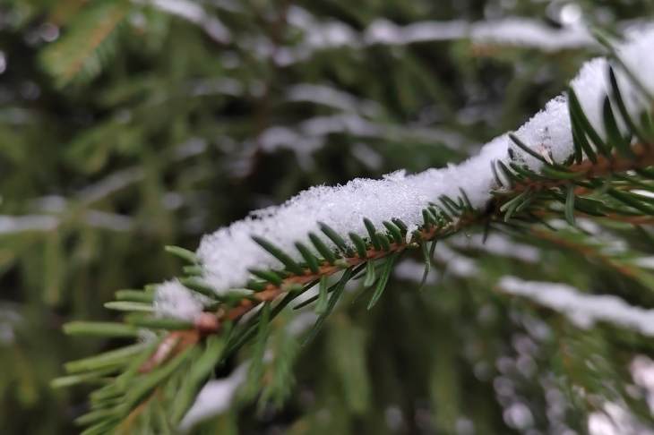 ​Обильные снегопады вернутся в московский регион