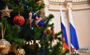 ​Новогоднюю елку для Кремля спилят в Подмосковье