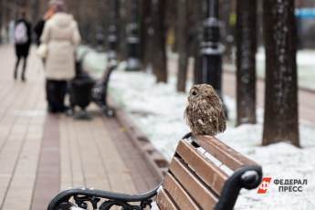 ​Редкую птицу спасли от браконьеров на юге Москвы