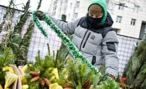 Москвичи могут сдать живую елку на переработку до конца февраля