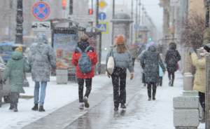 ​В Москве выпало рекордное количество снега
