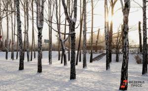 ​Солнце в Москве в январе 2023 года светило меньше суток