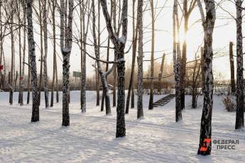 ​Солнце в Москве в январе 2023 года светило меньше суток