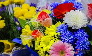​В Московской области вырастили почти пятнадцать миллионов цветов к 8 марта