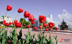 ​В Москве начали готовить цветники к весенне-летнему сезону