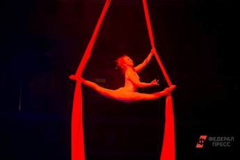 ​Шоу «Чебурашка» покажут в Большом Московском цирке