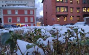 ​Первый снег в Москве зафиксировали на 11 метеостанциях