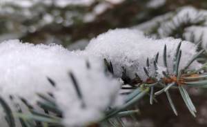 ​Синоптики прогнозируют теплую и снежную зиму в Москве