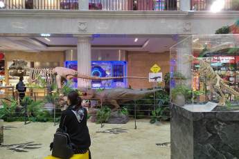​Зеленый сад с гигантскими динозаврами появился в детском магазине на Лубянке