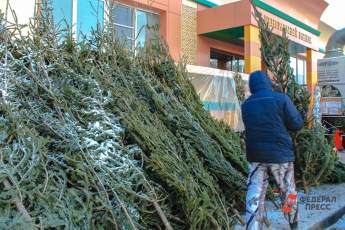 ​В Московском зоопарке стартует акция по сбору елок